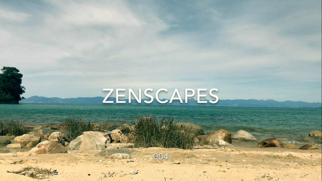 ZENSCAPE 004