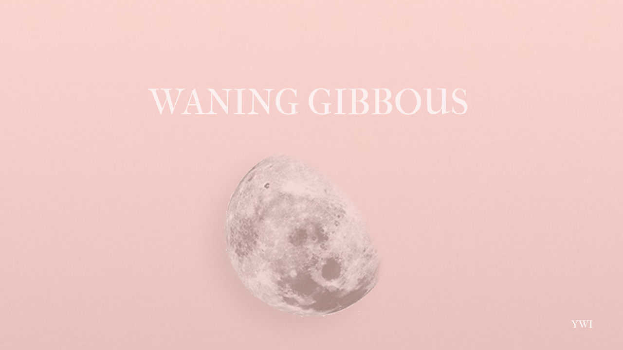 WANING GIBBOUS